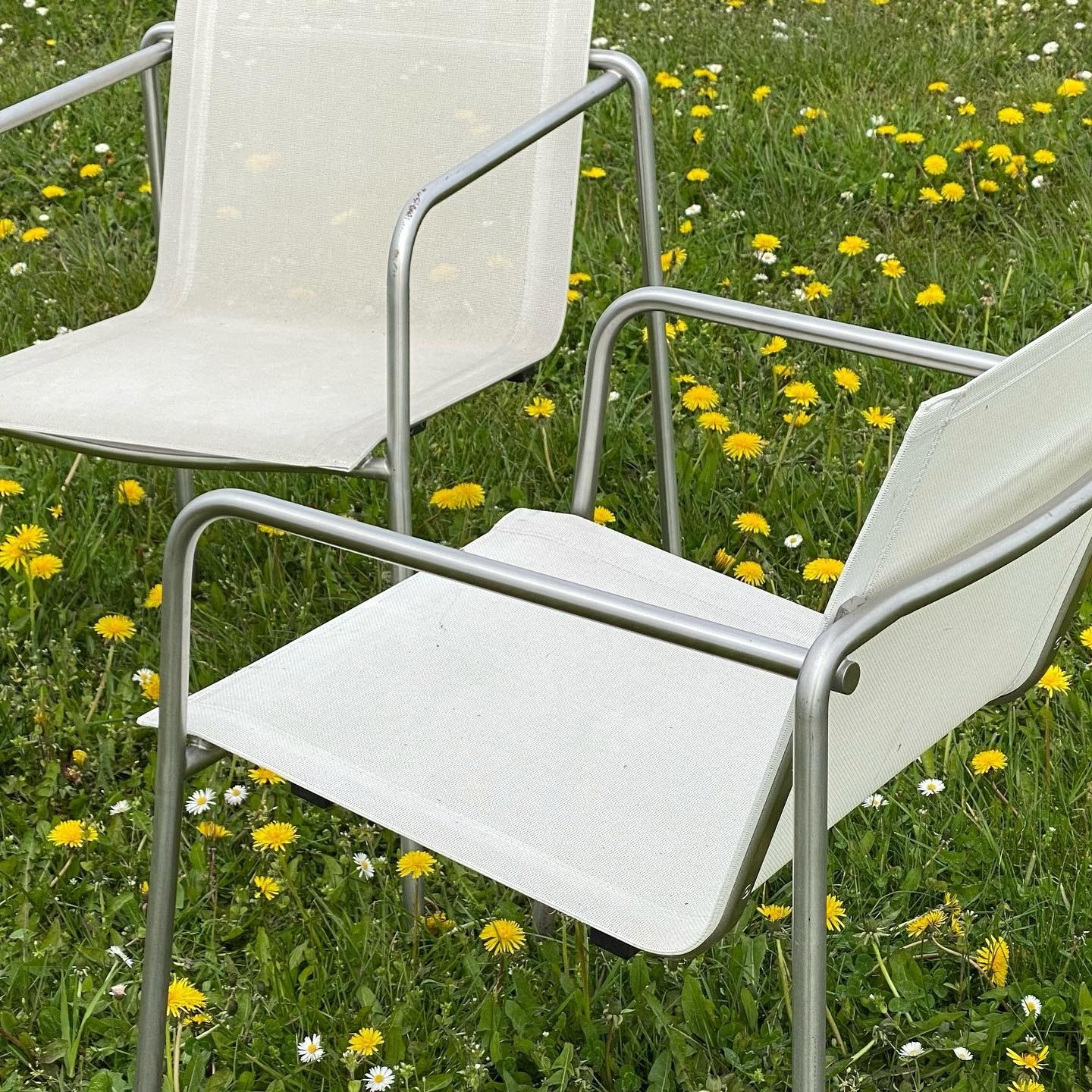 Two 'Taku' outdoor chairs are positioned in a grassy area. The chairs are made of a stainless steel frame.  The seat and back of each chair are made of a white, woven fabric material. The chairs are angled slightly towards each other, with one chair positioned more prominently in the foreground. The lawn is filled with yellow dandelions and other wildflowers, with spots of white daisies scattered throughout.