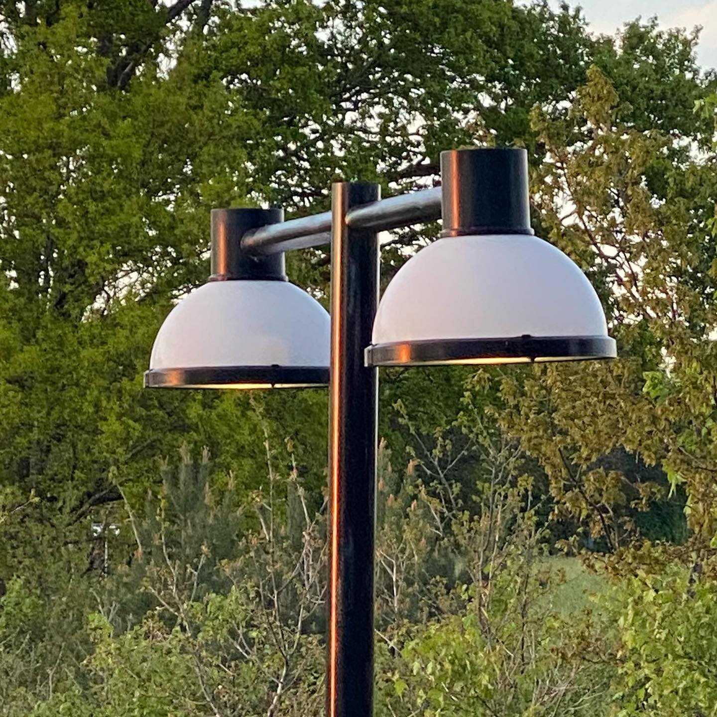 A double-headed outdoor lamp post stands against a backdrop of lush greenery. The lamp post has a dark brownish-black metal pole, supporting two identical, round, white light fixtures.  Each fixture has a slightly domed shape and a dark, band-like edge around the base, visible on both.