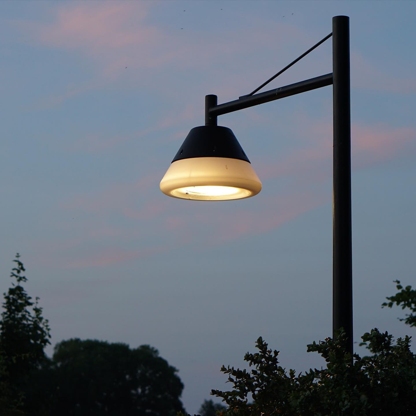 A street lamp, mounted on a dark metal pole, is the central focus of the image. The lamp is a dark gray or black, with a conical shade of a lighter, cream color. The light inside the shade is illuminated, casting a warm, diffused glow. The pole extends vertically against a pale, light purple-blue sky, which is slightly tinged with lavender-pink hues near the horizon. Low-lying, dark silhouettes of trees and foliage fill the lower part of the image, bordering the bottom.